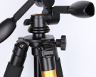 Lockable pan thumbnail