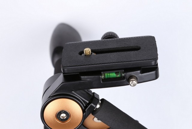 Lockable quick release plate